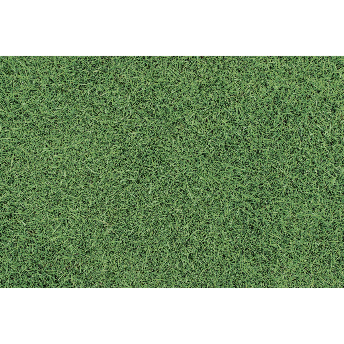 Ultra-Thin Floor Mats 36" x 24" (1/10 Inch Thick) - Design Grass