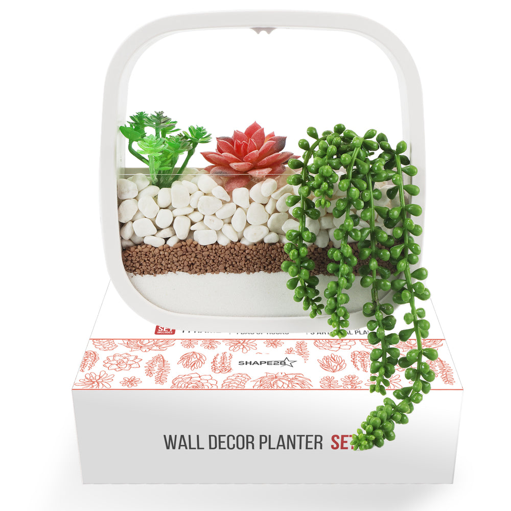 succulent plant holder wall Wall Planter for Indoor Plants Wall Dcor with Plastic Succulents Real Rocks Pebbles and Sand Set 1